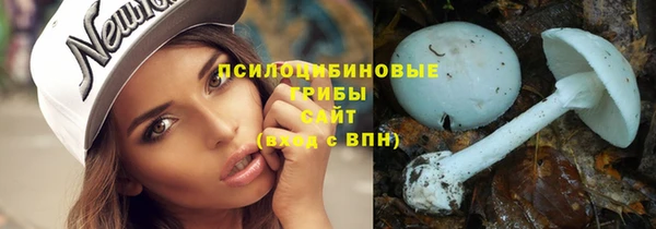 крисы Белокуриха