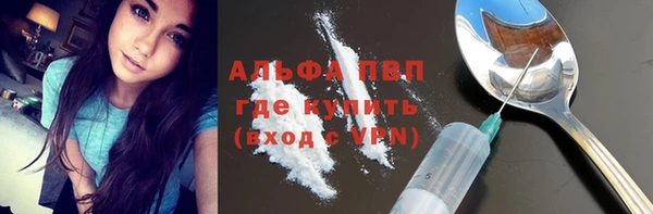 крисы Белокуриха