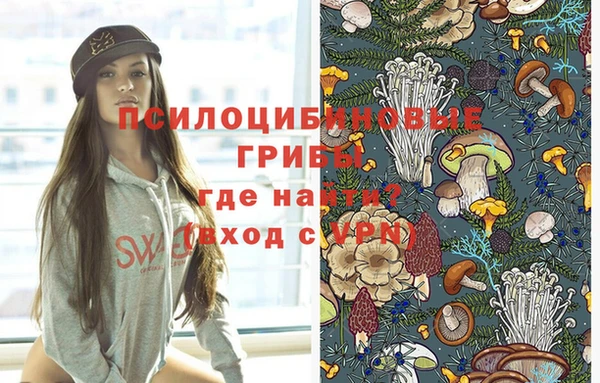 COCAINE Богородицк